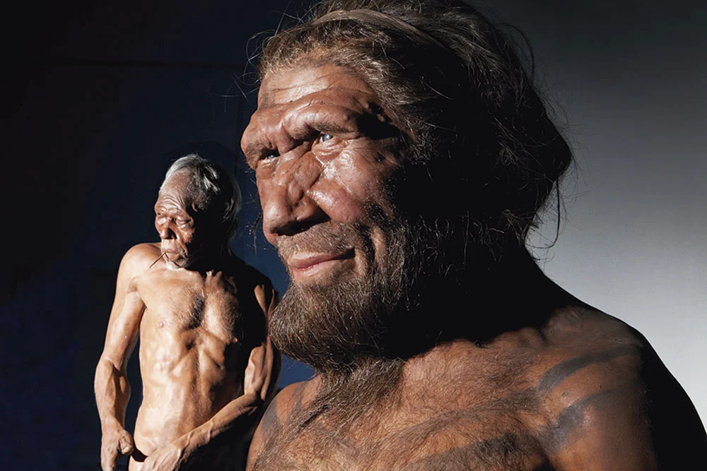 ilustração de Homo Sapiens